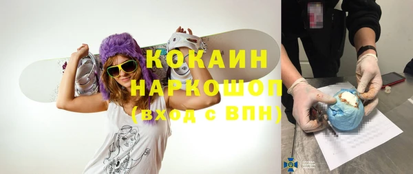 твердый Ладушкин