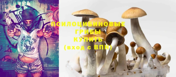 эйфоретик Кулебаки