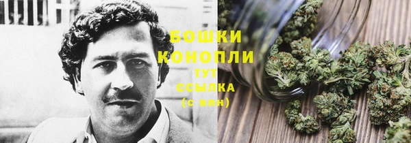 эйфоретик Кулебаки